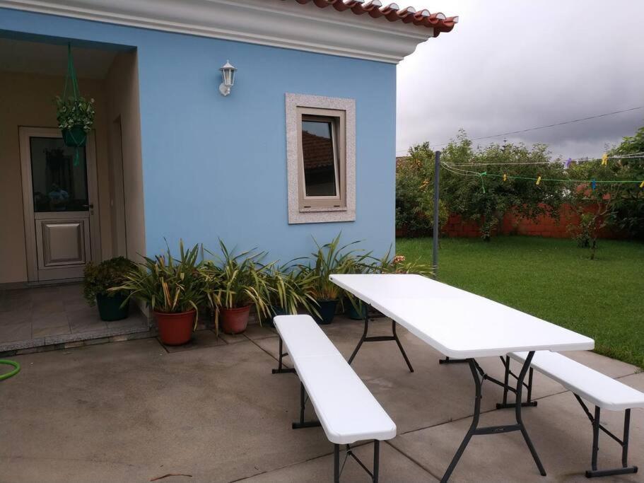 Maison Proche De La Mer Murtosa Exterior foto